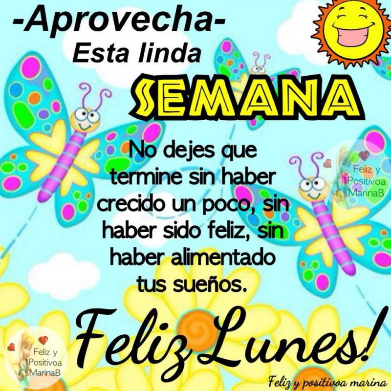 feliz-lunes-8