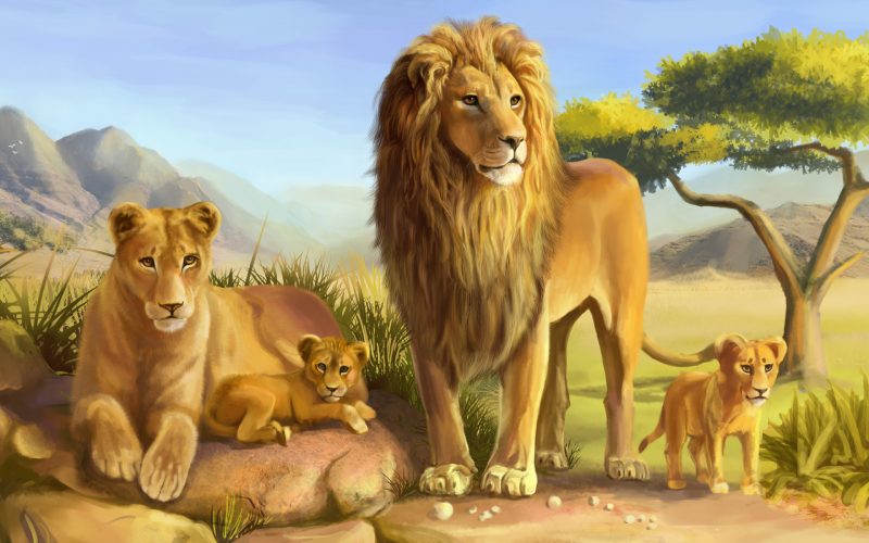 leones-wallpapers-5