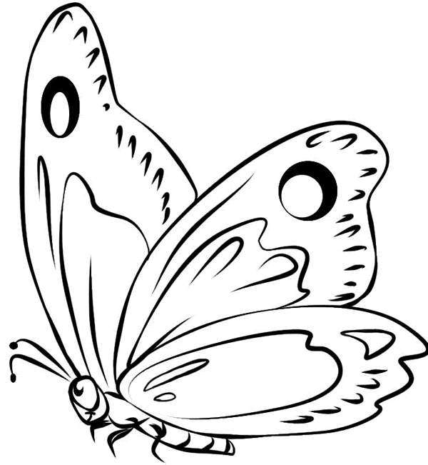 Dibujos de mariposas para colorear e imprimir.