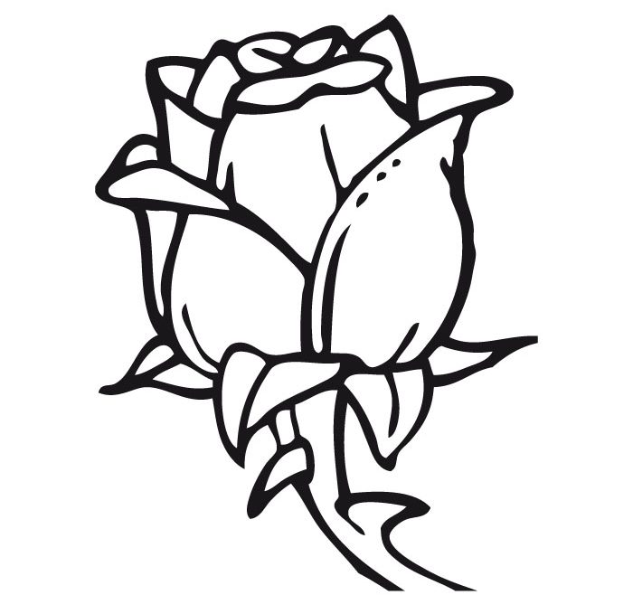 Dibujos de rosas para colorear, pintar e imprimir