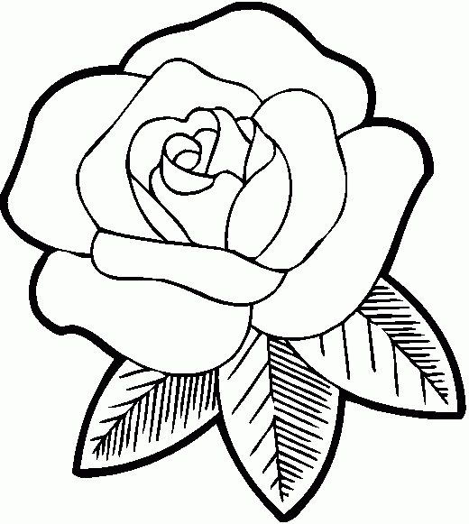 Dibujos de rosas para colorear, pintar e imprimir