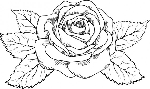 Dibujos de rosas para colorear, pintar e imprimir