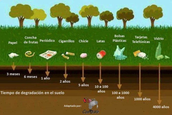 Imágenes para el día Mundial del Medio Ambiente