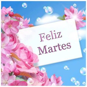 Imágenes con frases de Feliz Martes