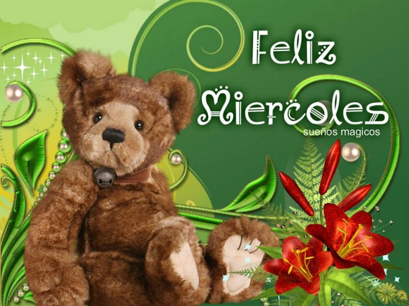 Feliz Miercoles