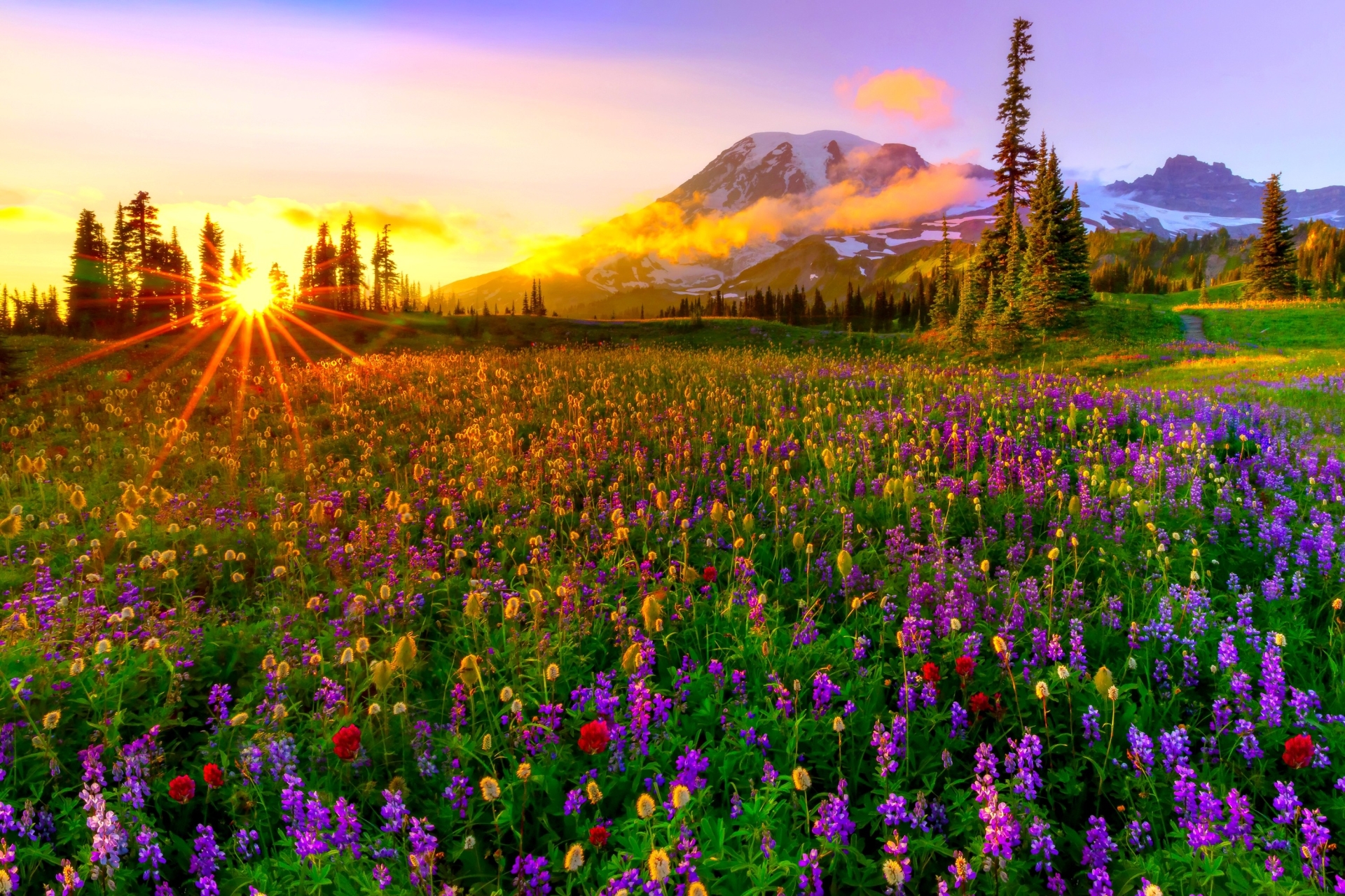 Fondos de pantalla de Primavera, Imágenes Primaverales en HD