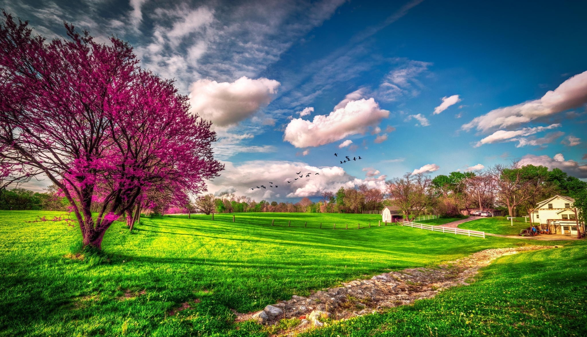 Fondos de pantalla con Paisajes de Primavera, Imágenes bonitas en HD.