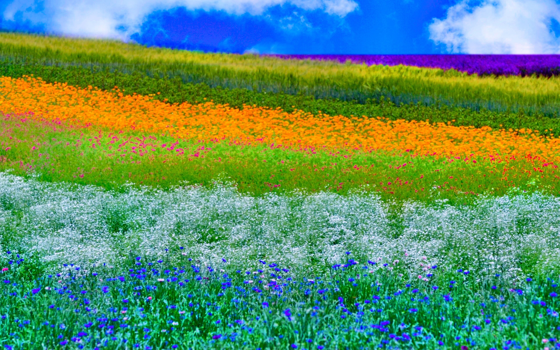 Fondos de pantalla de Primavera, Imágenes Primaverales en HD