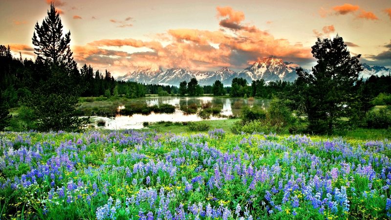 Paisajes de primavera