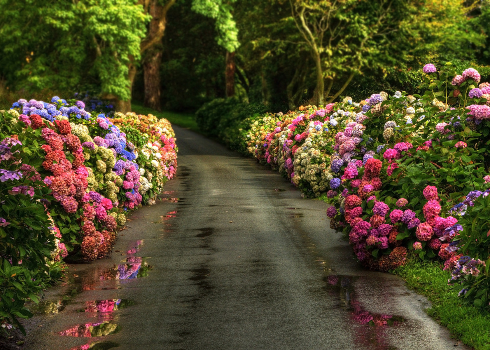 Fondos De Pantalla De Primavera Imágenes Primaverales En Hd