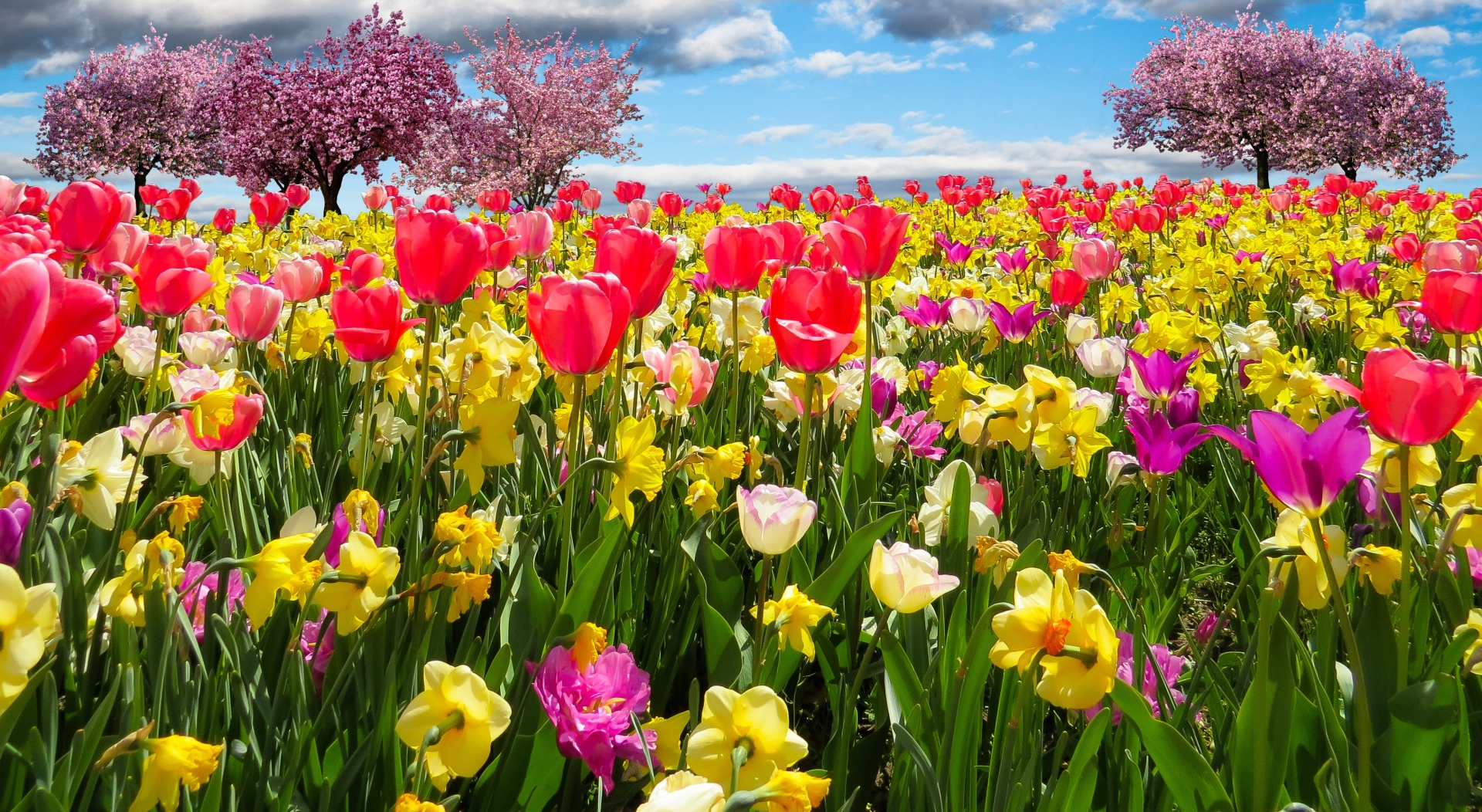 Fondos De Pantalla De Primavera Imágenes Primaverales En Hd