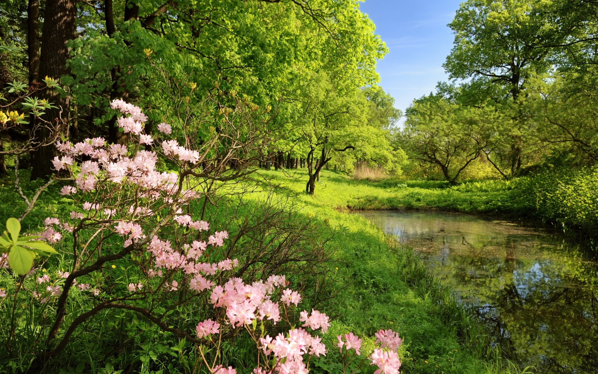 Fondos de pantalla de Primavera, Imágenes Primaverales en HD