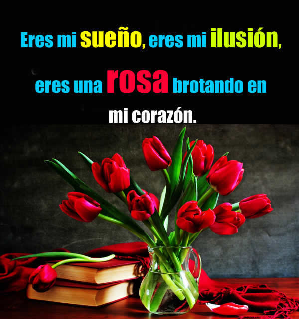 Imágenes de rosas rojas con frases de amor.