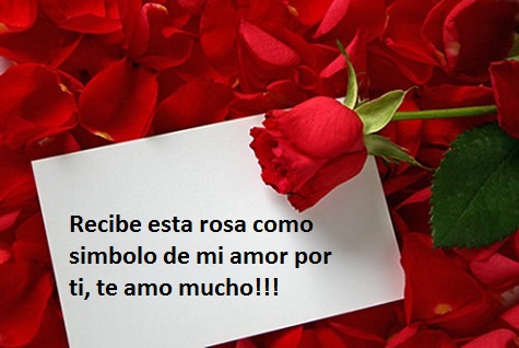 23 Imágenes de rosas rojas con frases de amor romanticas