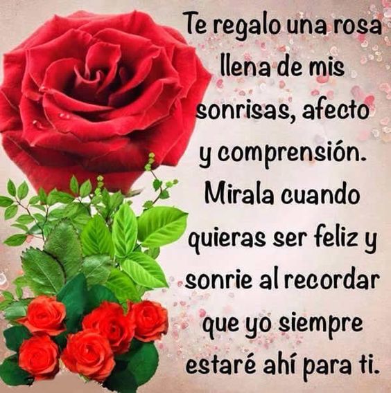 23 Imágenes de rosas rojas con frases de amor romanticas