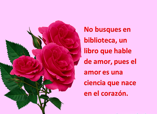 23 Imágenes de rosas rojas con frases de amor romanticas