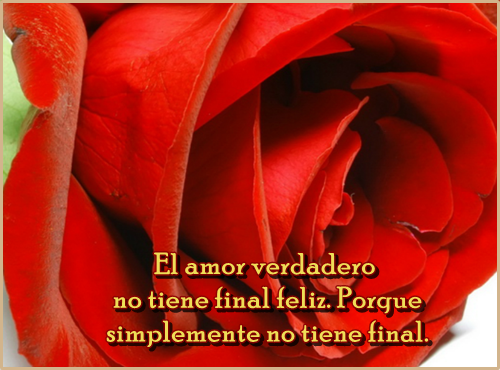 23 Imágenes de rosas rojas con frases de amor romanticas