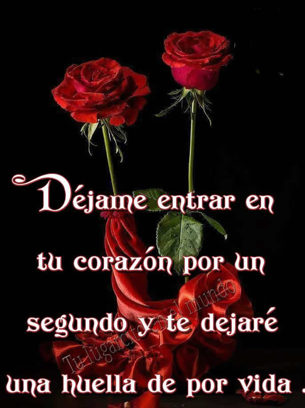 23 Imágenes de rosas rojas con frases de amor romanticas