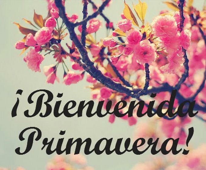 Imagenes De Bienvenida Primavera Para Whatsapp Y Facebook