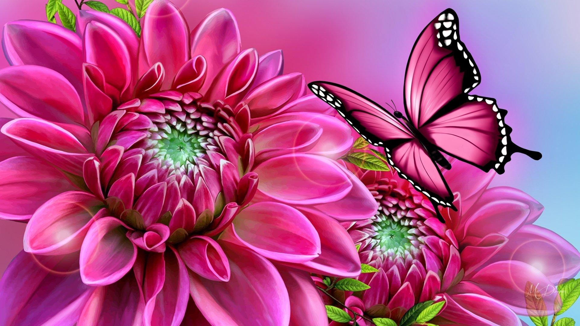 Fondos de Pantalla de Mariposas, Wallpapers HD, Mariposas de Colores