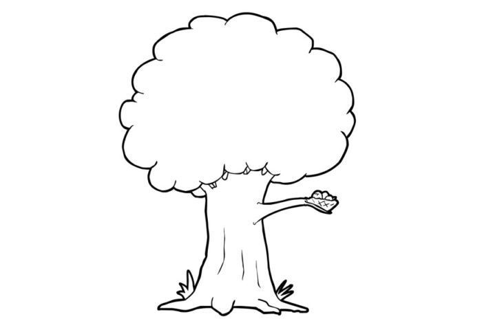 Featured image of post Dibujo De Arbol Para Imprimir Y Colorear Dibujos gratis para imprimir y colorear con los ni os de rbol geneal gico