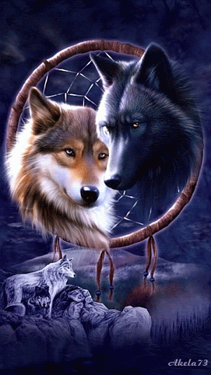 Gifs Animados de Lobos, Imágenes con Movimiento de Lobos Bonitos