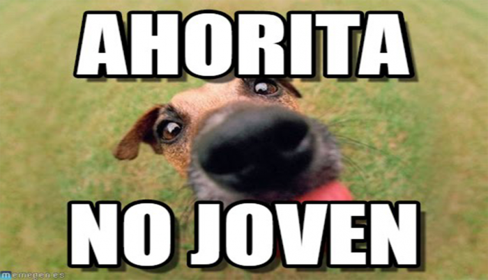 Ahorita no joven memes