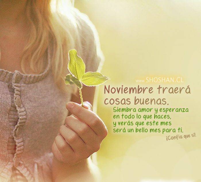 Imágenes de Bienvenido Noviembre con frases bonitas