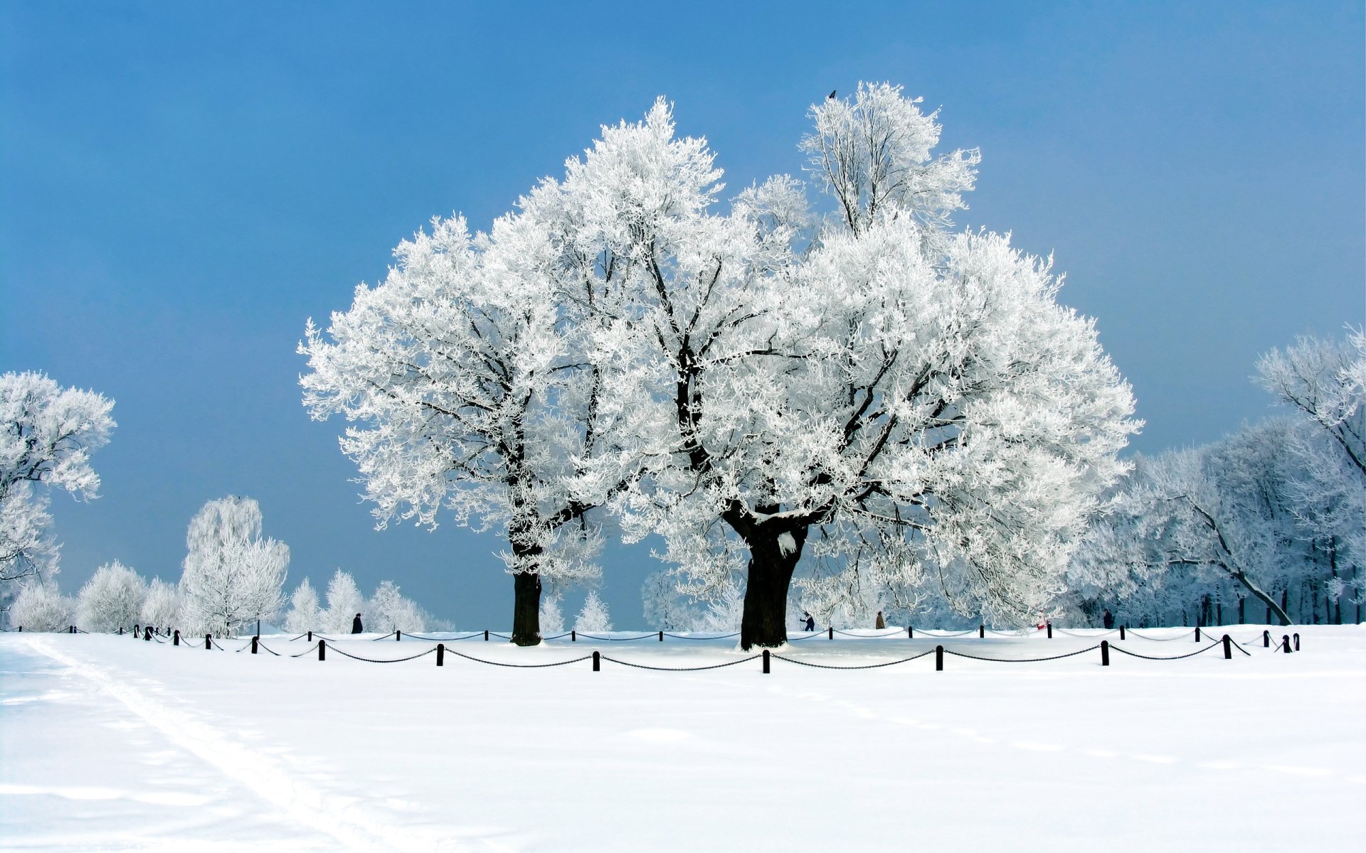 Imágenes De Fondo De Invierno / fotos de invierno para fondo de