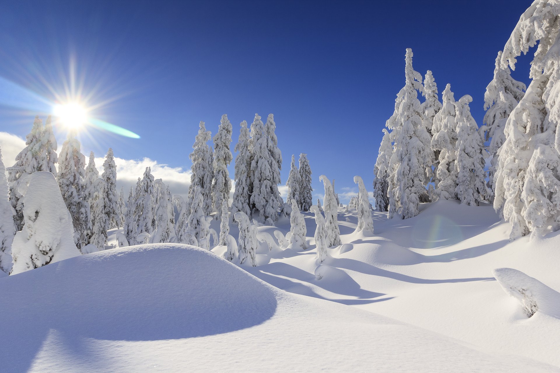 Descubrir 75+ fondos pantalla paisajes nevados mejor - camera.edu.vn