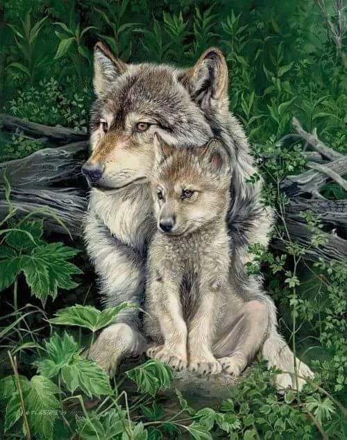 Fotos bonitas de lobos