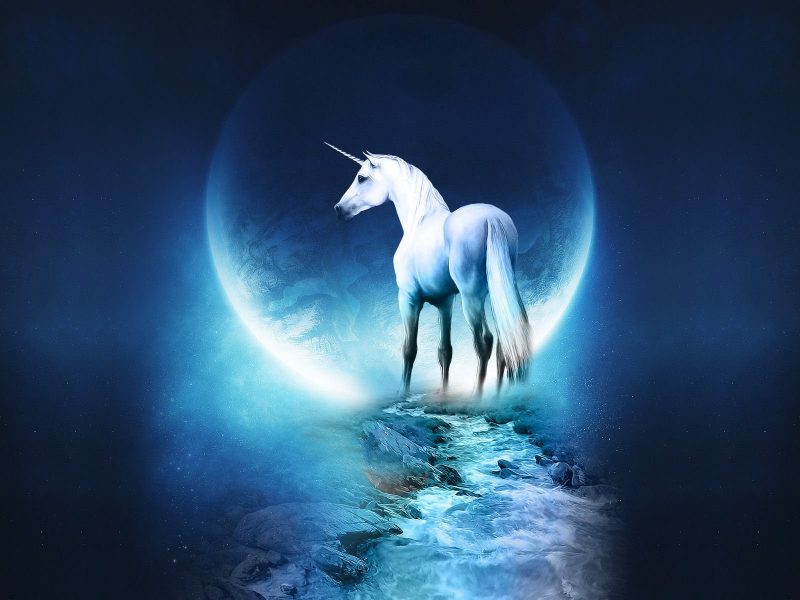 Unicornio y la Luna