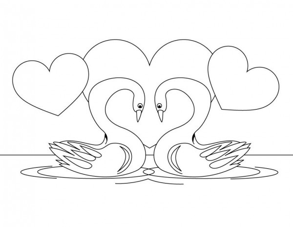 pareja de cisnes dibujo para pintar
