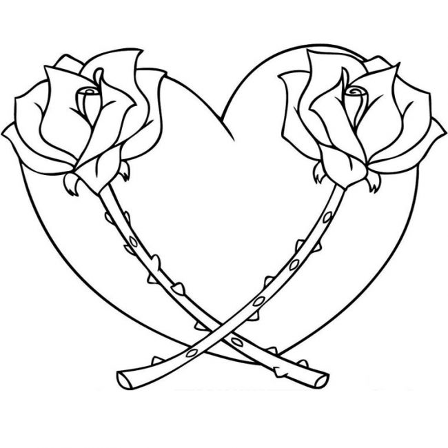 dibujo de rosas con espinas