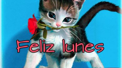 Feliz Lunes gifs