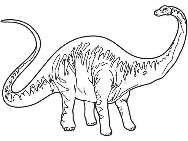 Dibujos de dinosaurios de cuello largo para colorear e imprimir gratis