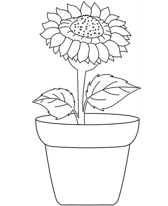 Dibujos de plantas para colorear