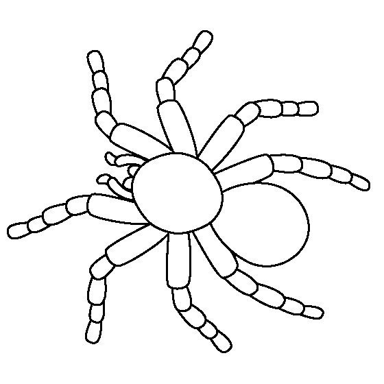 Dibujos de arañas para colorear e imprimir gratis