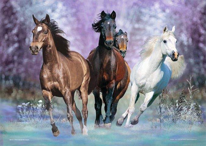 Gifs de caballos, imágenes con movimiento de caballos gratis