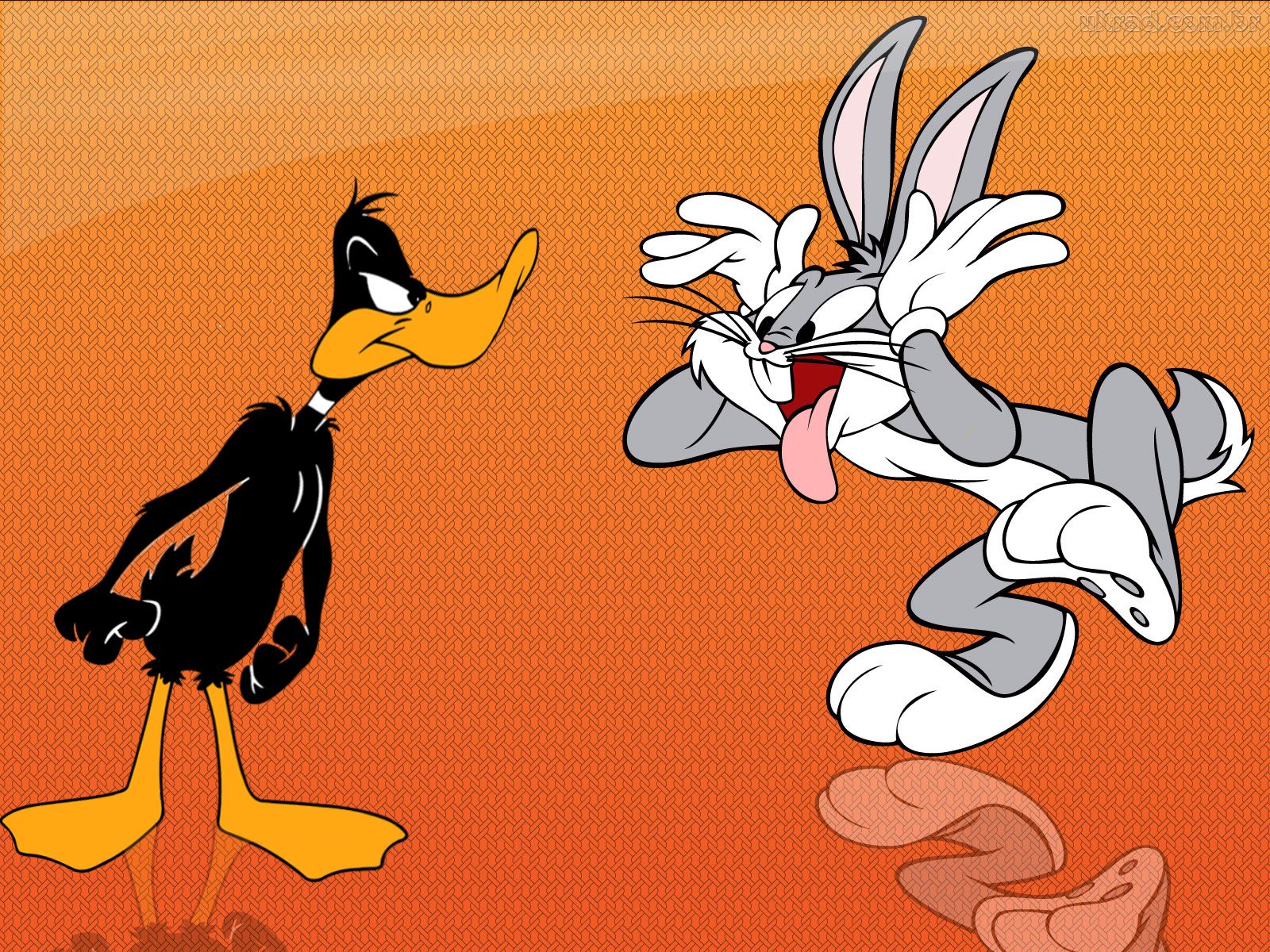 Fondos de pantalla de Los Looney Tunes, Wallpapers HD Gratis