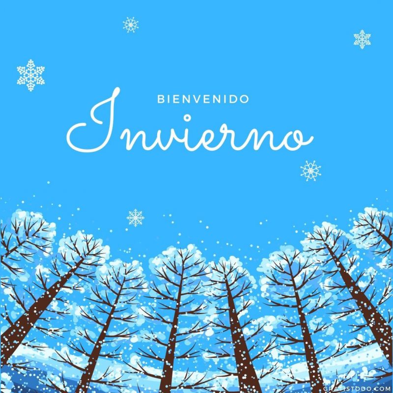 bienvenido invierno