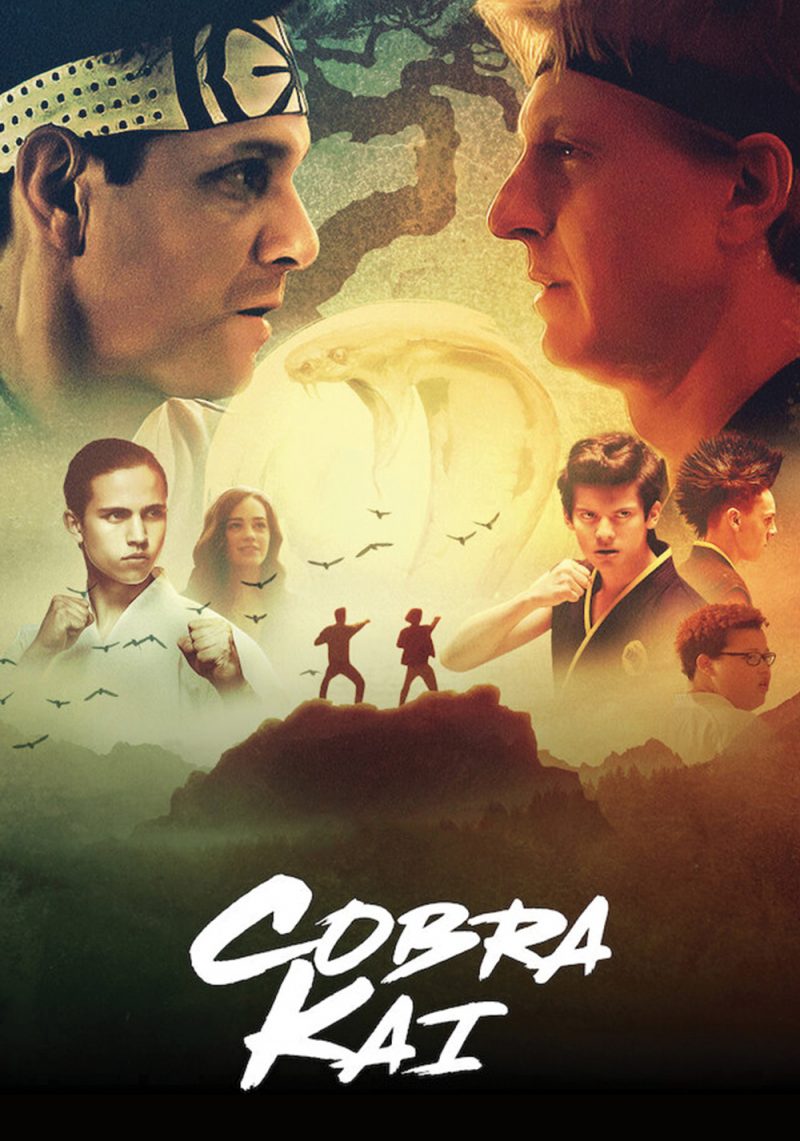 cobra kai serie netflix temporada 1