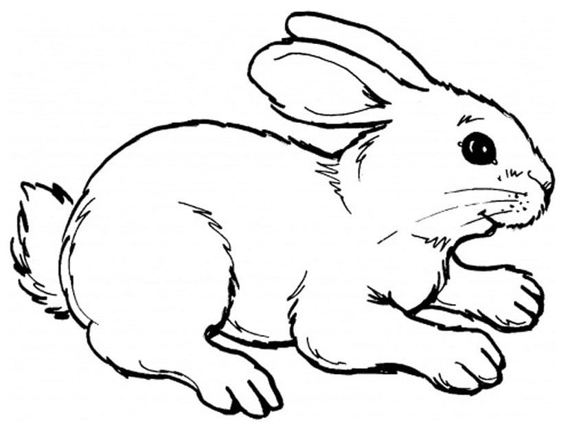 Dibujos de conejos para colorear e imprimir