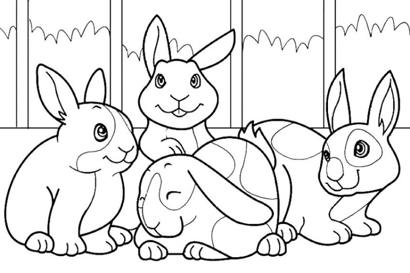 Conejos para colorear e imprimir