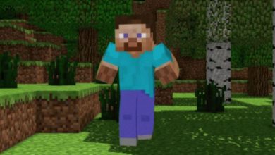 Minecraft gifs