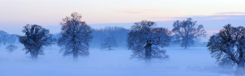 Arboles cubiertos de nieve entre la niebla, Francia