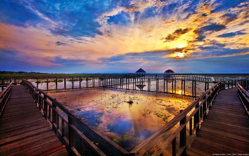Lago Lotus Parque Nacional Khao Sam Roi Yot Tailandia