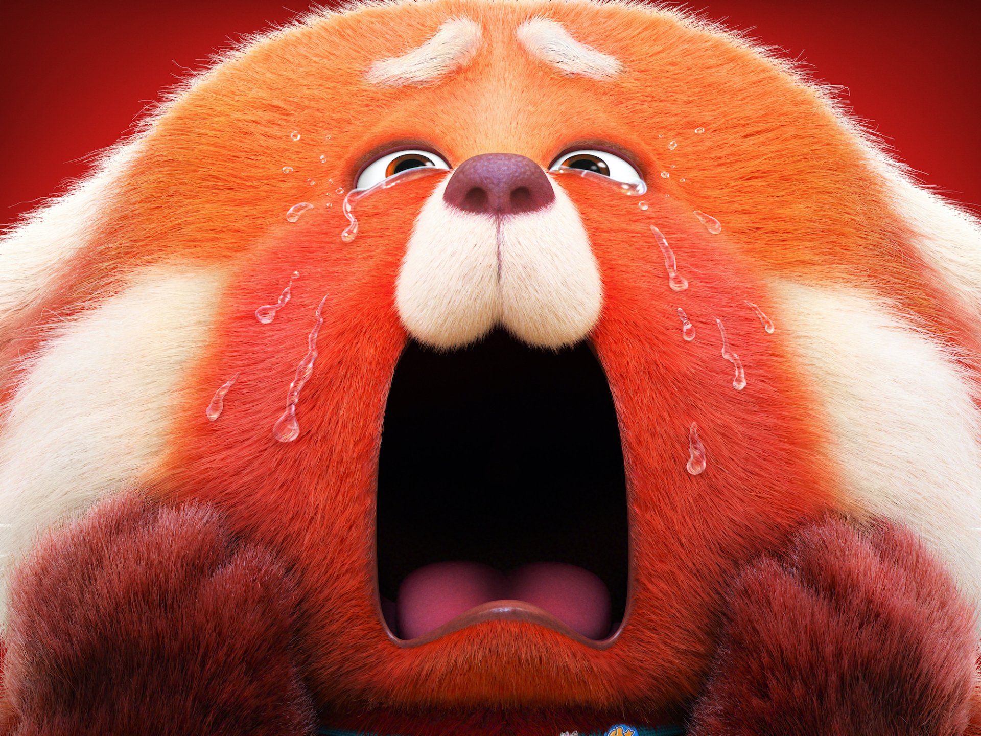 Fondos de Pantalla Turning Red Disney, Wallpapers Red Pixar