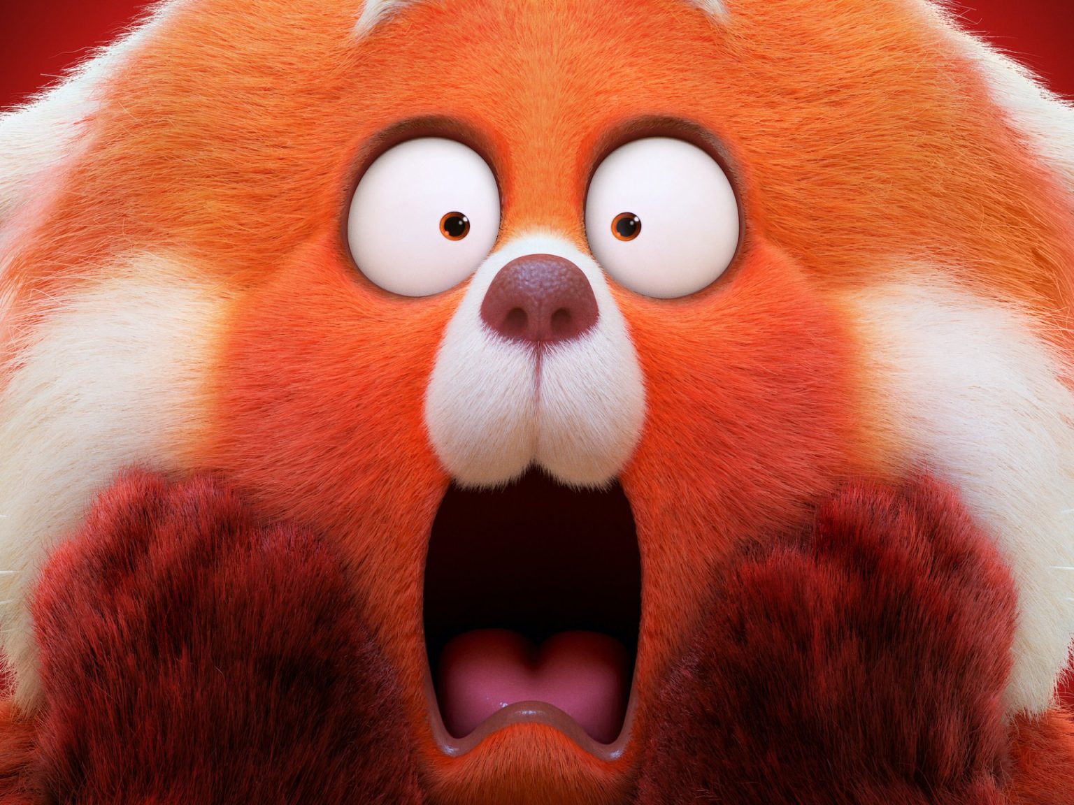 Fondos de Pantalla Turning Red Disney, Wallpapers Red Pixar