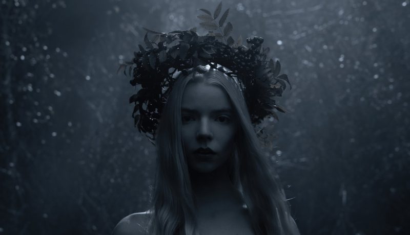 Anya Taylor-Joy the northman wallpapers